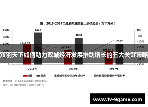 双羽天下如何助力双城经济发展推动增长的五大关键策略