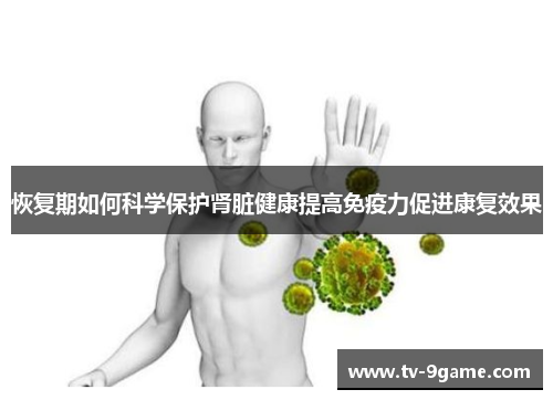 恢复期如何科学保护肾脏健康提高免疫力促进康复效果