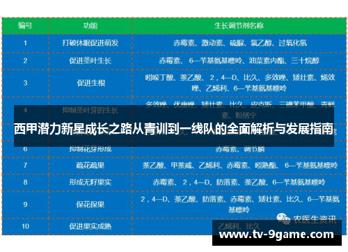 西甲潜力新星成长之路从青训到一线队的全面解析与发展指南