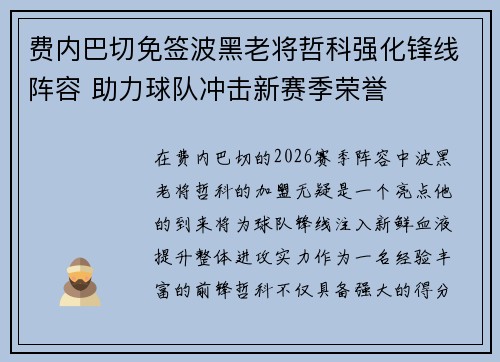 费内巴切免签波黑老将哲科强化锋线阵容 助力球队冲击新赛季荣誉