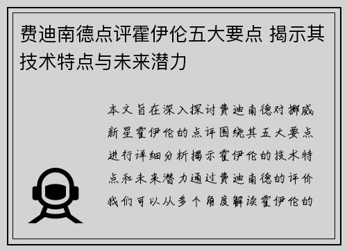 费迪南德点评霍伊伦五大要点 揭示其技术特点与未来潜力