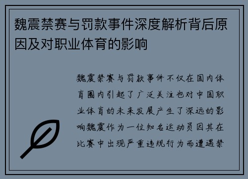魏震禁赛与罚款事件深度解析背后原因及对职业体育的影响